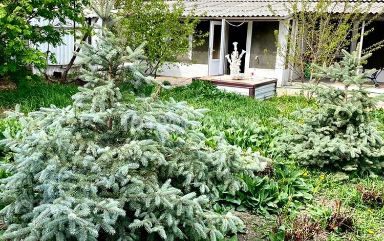 Саяжай · 1 бөлме · 30 м² · 10 жүзд., Сейфулина 4/1 — Поселок Пригородный, бағасы: 7.5 млн ₸ — фото 2