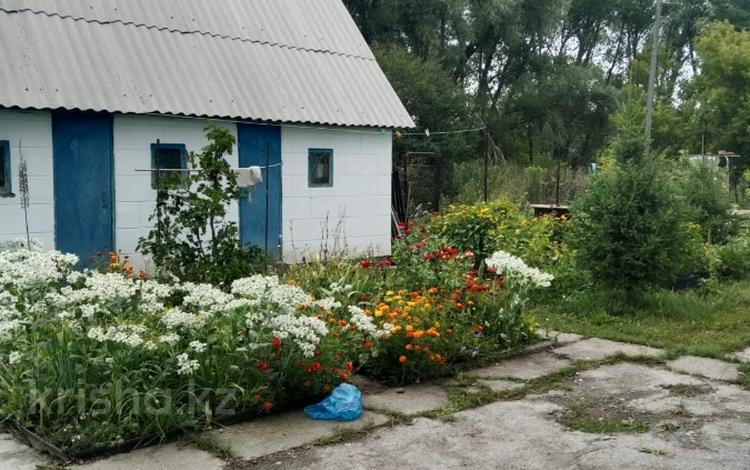 Саяжай · 4 бөлме · 40 м² · 25 жүзд., Вишнёвая ул 221, бағасы: 7 млн ₸ в Усть-Каменогорске, Ахмирово — фото 20