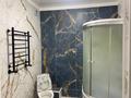 1-бөлмелі пәтер · 47 м² · 5/10 қабат, Сейфуллина 51, бағасы: 27 млн ₸ в Алматы, Турксибский р-н — фото 4