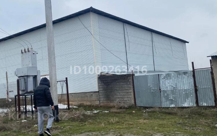 Овощехранилище · 905 м² за 200 млн ₸ в Аксукенте — фото 2