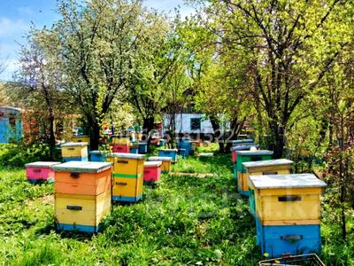 Продажа участков в Восточно-Казахстанской обл.: Участок · 1 сотка, Тарханка за 1.5 млн 〒 Участок · 1 сотка, Тарханка за 1.5 млн 〒