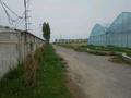Сельское хозяйство • 500 м² за 520 млн 〒 в Жамбылской обл., Байзак — фото 95