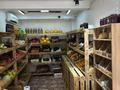Магазины и бутики · 15 м² за 1.8 млн ₸ в Алматы, Медеуский р-н