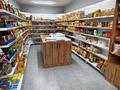 Свободное назначение, магазины и бутики · 300 м² за 111 млн ₸ в Алматы, Алатауский р-н — фото 21