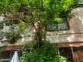 Кеңселер · 400 м², бағасы: 800 000 ₸ в Шымкенте, Абайский р-н — фото 10