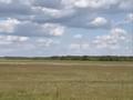 Участок · 12 соток, Шардара за 6.1 млн ₸