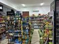 Дүкендер мен бутиктер · 400 м², бағасы: 140 млн ₸ в Шымкенте, Абайский р-н — фото 12