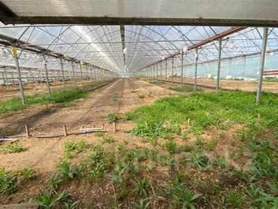 Жер телімі · 1800 сотық, Юбилейное, бағасы: 270 млн ₸