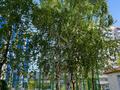3-комнатная квартира · 89 м² · 10/13 этаж, Сарыарка 11 — Кенесары за ~ 40 млн ₸ в Астане, Сарайшык р-н — фото 12