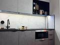 2-бөлмелі пәтер · 45 м² · 4/5 қабат, Астана, бағасы: 230 000 ₸ в Петропавловске — фото 3