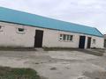 Отдельный дом · 5 комнат · 120 м² · 6 сот., Жангира хана 50 — Лес полоса за 18 млн ₸ в Трекино