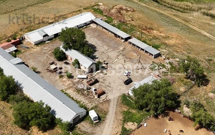 Дача · 4 комнаты · 100 м² · 75 сот., Енбек 250 за 55 млн ₸ в Талдыкоргане — фото 2