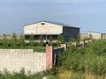 Откорм на КРС участок 1га · 350 м² за 53 млн 〒 в Ельтае — фото 9