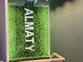 Фитнес и спорт, развлечения · 935.5 м² за 4.5 млн ₸ в Алматы, Бостандыкский р-н — фото 14