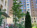 2-бөлмелі пәтер · 65 м² · 14 қабат, Розыбакиева 197/2, бағасы: 28 000 ₸ в Алматы, Бостандыкский р-н — фото 8