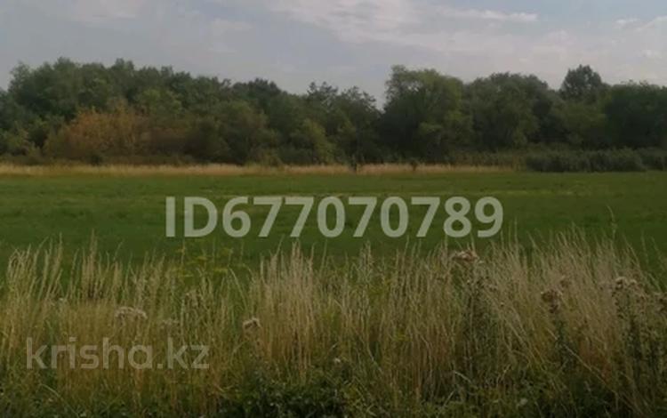 Жер телімі · 5 сотық, Мұстафа Өзтүрік көшесі 56 участок, бағасы: 10 млн ₸ в Бирлик — фото 2