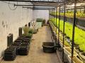 Ауыл шаруашылығы · 800 м², бағасы: 80 млн ₸ в Карабулаке (п.Ключи) — фото 21