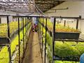 Ауыл шаруашылығы · 800 м², бағасы: 80 млн ₸ в Карабулаке (п.Ключи) — фото 22