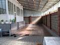 Жеке үй · 8 бөлме · 280 м² · 10 сот., Село Атамекен улица Бейбитшилик 25 — Райымбек-Бейбитшилик, бағасы: 75 млн ₸ в Жаркенте — фото 5