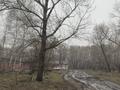 Участок · 10 соток, Музейная — Напротив ОРЦ ,,Алтай ‘’ за 9 млн ₸ в Усть-Каменогорске, Меновное