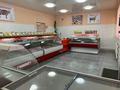 Магазины и бутики · 118.3 м² за 61 млн ₸ в Бишкуле (Бесколь) — фото 10
