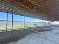 Қоймалар, ауыл шаруашылығы · 15000 м², бағасы: 220 млн ₸ в Карасу — фото 3