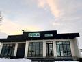 Магазин · 200 м² за 35 млн ₸ в Таразе