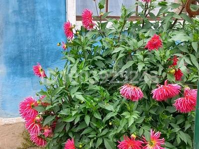 Дача · 1 комната · 15 м² · 7 сот., С/о Учитель1,Озерная 40 — Гор пляж Ишим. за 2 млн 〒 в Петропавловске