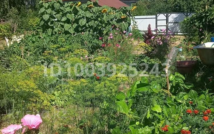 Дача · 1 комната · 15 м² · 7 сот., С/о Учитель1,Озерная 40 — Гор пляж Ишим. за 1 млн ₸ в Петропавловске — фото 13