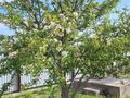 Жеке үй · 4 бөлме · 200 м² · 14 жүзд., Дамба-Курмангазы, бағасы: 25 млн ₸ в Атырау — фото 21
