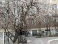 3-комнатная квартира · 93 м² · 5/5 этаж, 31Б мкр 28 — ЖК Ақниет за 23 млн ₸ в Актау — фото 14