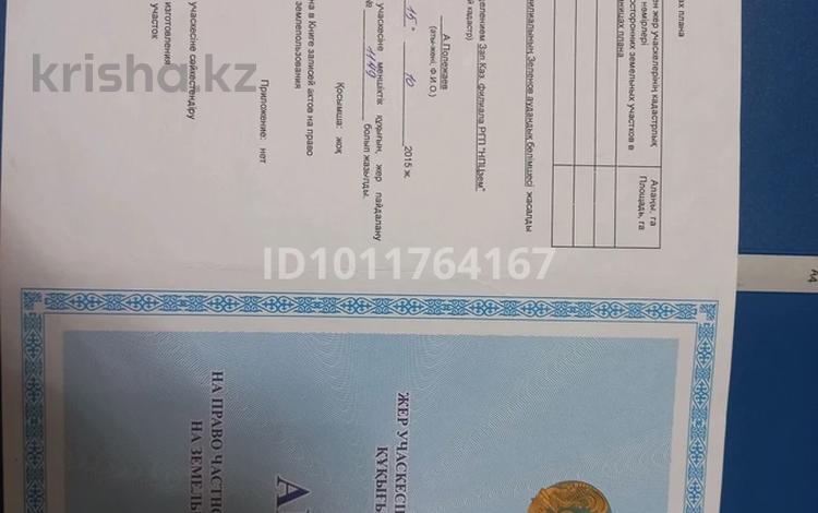 Участок · 8 соток, Садовая общество 13 — Находится вдоль трассы. садовая общество трёкина. 8 соток. на участке за 5 млн ₸ в Трекино — фото 2