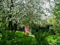 Отдельный дом · 4 комнаты · 80 м² · 8.3 сот., 14 лин 38 — БАКАД за 14 млн ₸ в  — фото 4