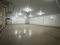 Еркін, қоймалар, ауыл шаруашылығы · 3740 м², бағасы: 10.5 млн ₸ в Астане, Сарыарка р-н — фото 4