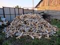 Отдельный дом · 5 комнат · 100 м² · 5 сот., Придорожная 7 — Возле асфальта первая улица за 80 000 ₸ в Берёзовка — фото 4