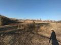 Участок · 50 соток, Головацкого за 50 млн ₸ в Жаркенте — фото 2
