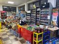 Свободное назначение, магазины и бутики · 436 м² за 350 млн ₸ в Шымкенте, Абайский р-н — фото 10