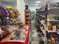 Свободное назначение, магазины и бутики · 436 м² за 350 млн ₸ в Шымкенте, Абайский р-н — фото 13