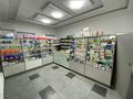Свободное назначение, магазины и бутики · 436 м² за 350 млн ₸ в Шымкенте, Абайский р-н — фото 6