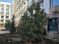 3-комнатная квартира · 65.8 м² · 2/6 этаж, мкр Кайрат 716/16 — Базар на обратной стороне Жетысу» или «Рынок за Жетысу за 45 млн ₸ в Алматы, Турксибский р-н — фото 2