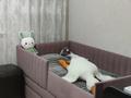 Отдельный дом · 5 комнат · 112 м² · 8 сот., мкр Юго-Восток, Переулок Кирпичный 30 — Рынок Самал за 38.8 млн ₸ в Караганде, Казыбек би р-н — фото 10