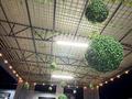 Дача · 5 комнат · 180 м² · 15 сот., Жанакурылыс за 120 млн ₸ в  — фото 3