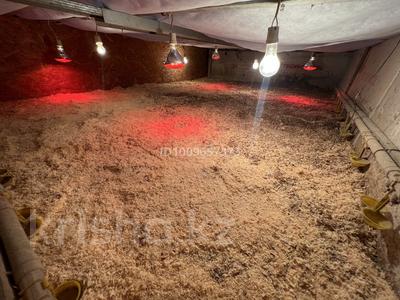 Готовый бизнес перепелинный хозяйство · 160 м² за 5 млн ₸ в Каражар