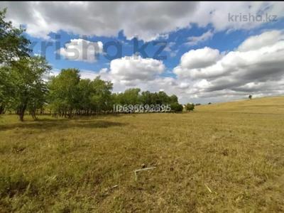 Жер телімі · 8 сотық, Кокшетау, бағасы: 2.4 млн ₸