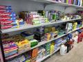 Магазины и бутики · 90 м² за 300 000 ₸ в Алматы, Алатауский р-н — фото 11