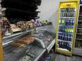 Готовый бизнес · 100 м² за 17 млн ₸ в Астане, Алматы р-н — фото 14