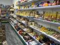 Готовый бизнес · 100 м² за 17 млн ₸ в Астане, Алматы р-н — фото 8