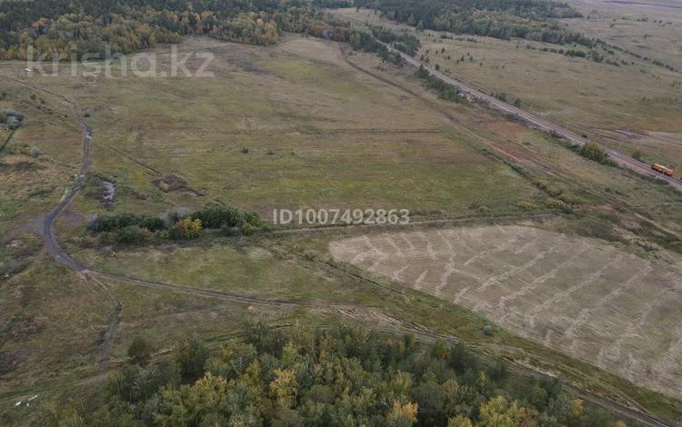 Участок · 1 га, Акколь за 30 млн 〒 — фото 3