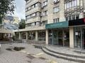 Еркін, кеңселер, дүкендер мен бутиктер, сұлулық салондары · 272 м², бағасы: 2.8 млн ₸ в Алматы, Алмалинский р-н — фото 2