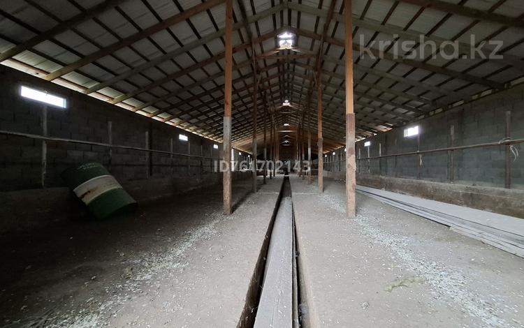 Промбаза · 1 га, Дарқан 2 — Дарқан қарсы за 59 млн 〒 в Уштереке — фото 18